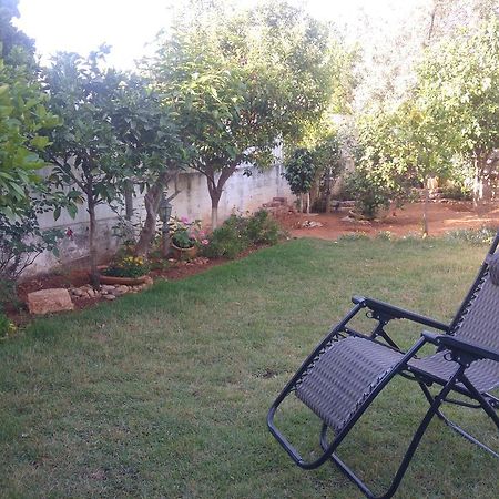 כפר סבא Sabba'S Apartment מראה חיצוני תמונה